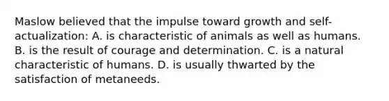 Maslow believed that the impulse toward growth and self-actualization: A. is characteristic of animals as well as humans. B. is the result of courage and determination. C. is a natural characteristic of humans. D. is usually thwarted by the satisfaction of metaneeds.