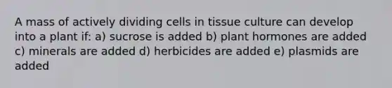 A mass of actively dividing cells in tissue culture can develop into a plant if: a) sucrose is added b) <a href='https://www.questionai.com/knowledge/k7ka6iZlzi-plant-hormones' class='anchor-knowledge'>plant hormones</a> are added c) minerals are added d) herbicides are added e) plasmids are added