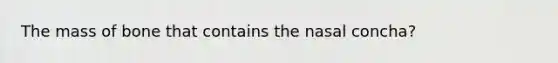 The mass of bone that contains the nasal concha?