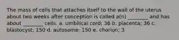 The mass of cells that attaches itself to the wall of the uterus about two weeks after conception is called a(n) ________ and has about ________ cells. a. umbilical cord; 36 b. placenta; 36 c. blastocyst; 150 d. autosome; 150 e. chorion; 3