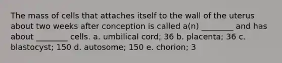 The mass of cells that attaches itself to the wall of the uterus about two weeks after conception is called a(n) ________ and has about ________ cells. a. umbilical cord; 36 b. placenta; 36 c. blastocyst; 150 d. autosome; 150 e. chorion; 3