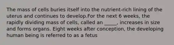 The mass of cells buries itself into the nutrient-rich lining of the uterus and continues to develop.For the next 6 weeks, the rapidly dividing mass of cells, called an _____, increases in size and forms organs. Eight weeks after conception, the developing human being is referred to as a fetus