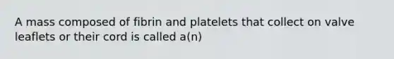 A mass composed of fibrin and platelets that collect on valve leaflets or their cord is called a(n)