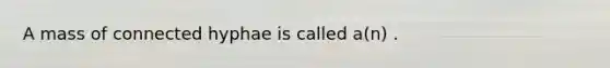 A mass of connected hyphae is called a(n) .
