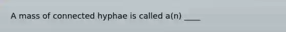 A mass of connected hyphae is called a(n) ____