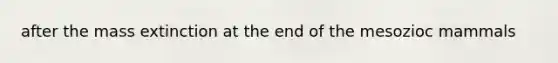 after the mass extinction at the end of the mesozioc mammals