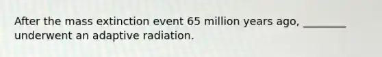 After the mass extinction event 65 million years ago, ________ underwent an adaptive radiation.