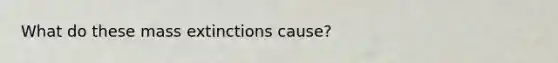 What do these mass extinctions cause?