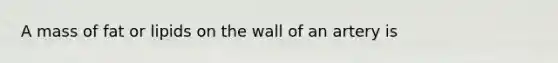 A mass of fat or lipids on the wall of an artery is