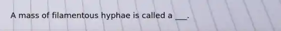 A mass of filamentous hyphae is called a ___.