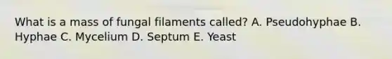What is a mass of fungal filaments called? A. Pseudohyphae B. Hyphae C. Mycelium D. Septum E. Yeast