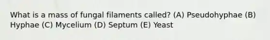 What is a mass of fungal filaments called? (A) Pseudohyphae (B) Hyphae (C) Mycelium (D) Septum (E) Yeast