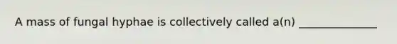 A mass of fungal hyphae is collectively called a(n) ______________