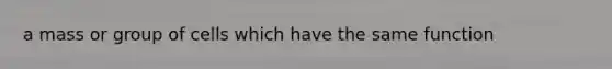 a mass or group of cells which have the same function