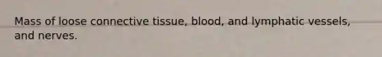Mass of loose connective tissue, blood, and lymphatic vessels, and nerves.