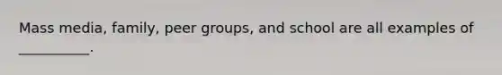 Mass media, family, peer groups, and school are all examples of __________.