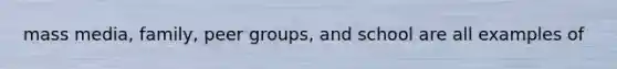 mass media, family, peer groups, and school are all examples of