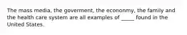 The mass media, the goverment, the econonmy, the family and the health care system are all examples of _____ found in the United States.