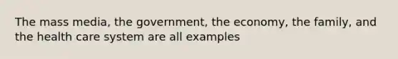 The mass media, the government, the economy, the family, and the health care system are all examples