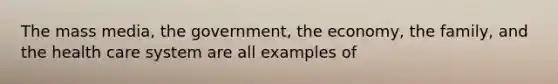 The mass media, the government, the economy, the family, and the health care system are all examples of