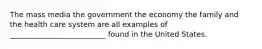 The mass media the government the economy the family and the health care system are all examples of __________________________ found in the United States.