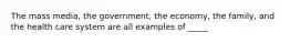 The mass media, the government, the economy, the family, and the health care system are all examples of _____