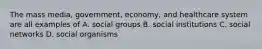 The mass media, government, economy, and healthcare system are all examples of A. social groups B. social institutions C. social networks D. social organisms