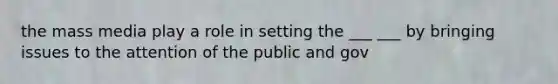 the mass media play a role in setting the ___ ___ by bringing issues to the attention of the public and gov