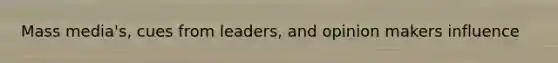 Mass media's, cues from leaders, and opinion makers influence
