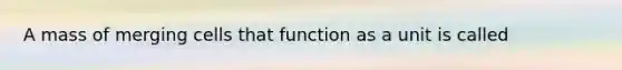 A mass of merging cells that function as a unit is called