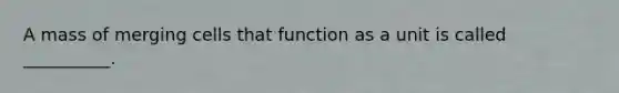 A mass of merging cells that function as a unit is called __________.