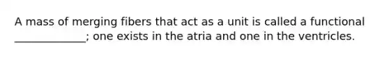 A mass of merging fibers that act as a unit is called a functional _____________; one exists in the atria and one in the ventricles.