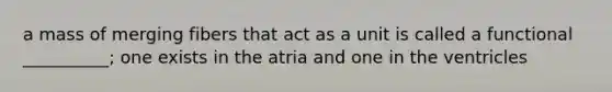 a mass of merging fibers that act as a unit is called a functional __________; one exists in the atria and one in the ventricles