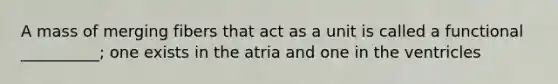 A mass of merging fibers that act as a unit is called a functional __________; one exists in the atria and one in the ventricles