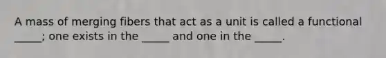 A mass of merging fibers that act as a unit is called a functional _____; one exists in the _____ and one in the _____.