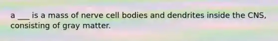 a ___ is a mass of nerve cell bodies and dendrites inside the CNS, consisting of gray matter.