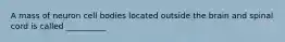 A mass of neuron cell bodies located outside the brain and spinal cord is called __________