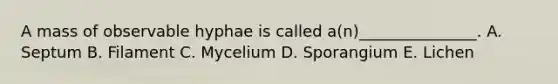 A mass of observable hyphae is called a(n)_______________. A. Septum B. Filament C. Mycelium D. Sporangium E. Lichen