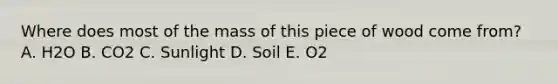 Where does most of the mass of this piece of wood come from? A. H2O B. CO2 C. Sunlight D. Soil E. O2