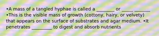 •A mass of a tangled hyphae is called a ________ or _____ _______ •This is the visible mass of growth (cottony, hairy, or velvety) that appears on the surface of substrates and agar medium. •It penetrates _________ to digest and absorb nutrients