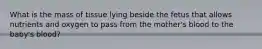 What is the mass of tissue lying beside the fetus that allows nutrients and oxygen to pass from the mother's blood to the baby's blood?
