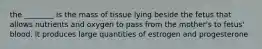 the ________ is the mass of tissue lying beside the fetus that allows nutrients and oxygen to pass from the mother's to fetus' blood. it produces large quantities of estrogen and progesterone