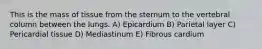 This is the mass of tissue from the sternum to the vertebral column between the lungs. A) Epicardium B) Parietal layer C) Pericardial tissue D) Mediastinum E) Fibrous cardium