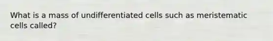 What is a mass of undifferentiated cells such as meristematic cells called?