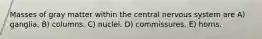 Masses of gray matter within the central nervous system are A) ganglia. B) columns. C) nuclei. D) commissures. E) horns.
