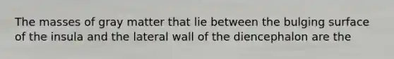 The masses of gray matter that lie between the bulging surface of the insula and the lateral wall of the diencephalon are the