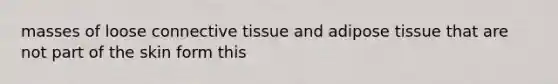 masses of loose connective tissue and adipose tissue that are not part of the skin form this