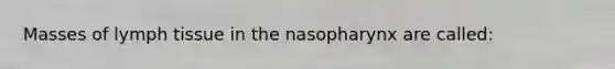 Masses of lymph tissue in the nasopharynx are called: