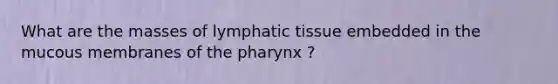 What are the masses of lymphatic tissue embedded in the mucous membranes of the pharynx ?