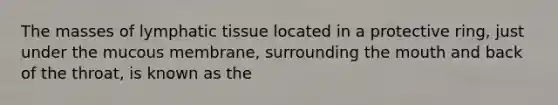 The masses of lymphatic tissue located in a protective ring, just under the mucous membrane, surrounding the mouth and back of the throat, is known as the